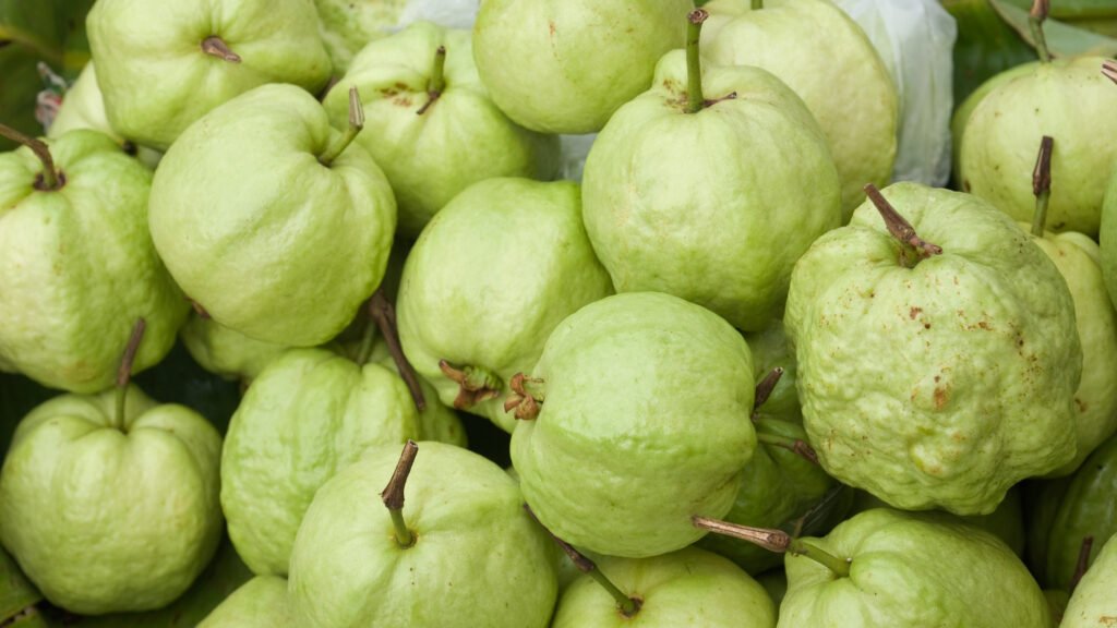 Benefits Of Eating Guava During Pregnancy
