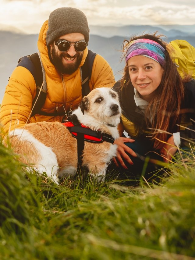 10 Essential Tips for Stress-Free Traveling with Your Dog