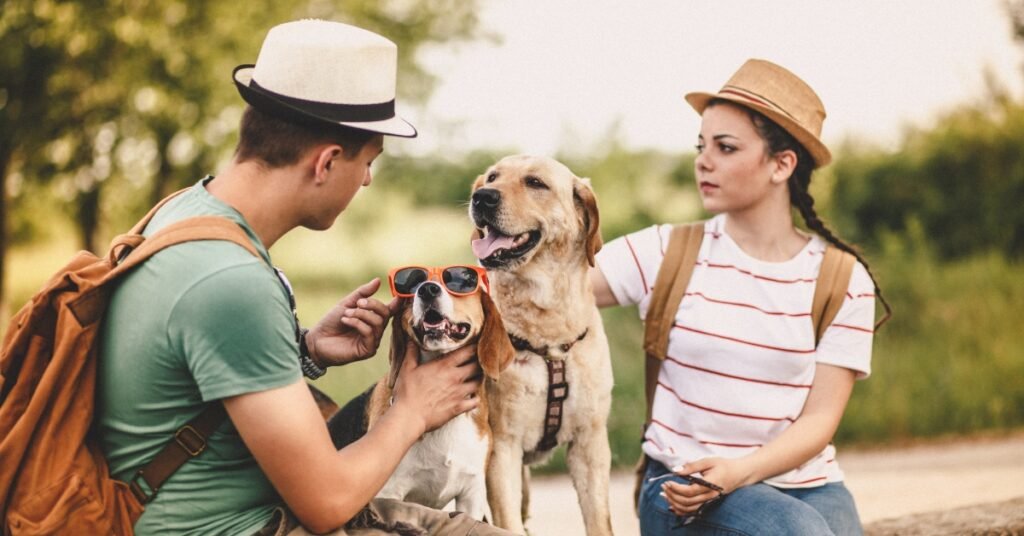 Ultimate Guide to Traveling with Your Dog 11 Tips